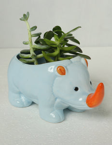 Blue Hippo Succulent Vase