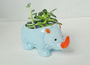 Blue Hippo Succulent Vase